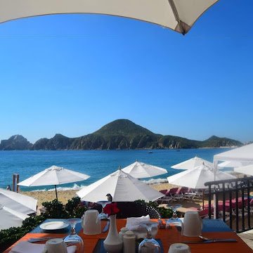 Profile photo of Sam Mejia